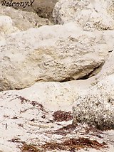 12 pictures - Slutty bikini doll stretched naked